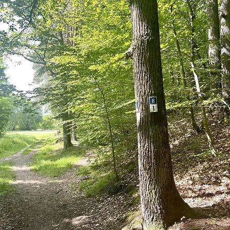 Landhotel Hubertus Unterelsbach Екстер'єр фото