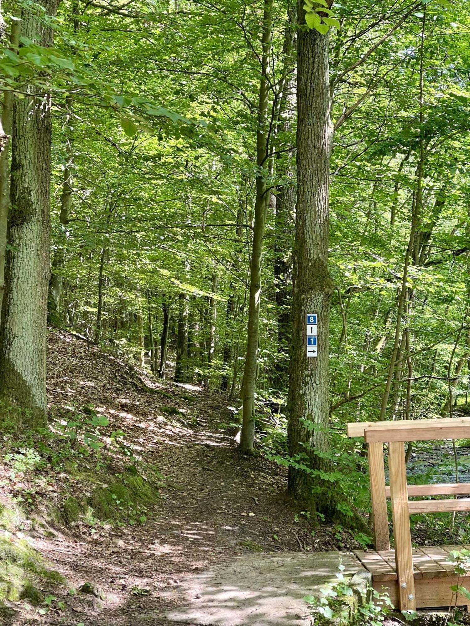 Landhotel Hubertus Unterelsbach Екстер'єр фото